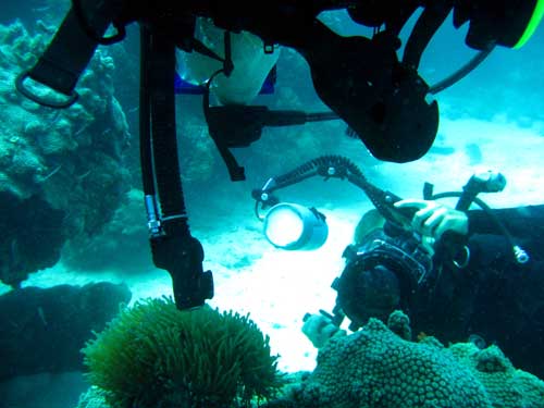 IMG 0709 diver Valentina