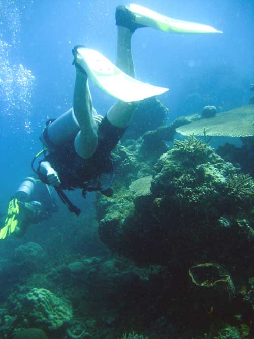 IMG 0775 divers