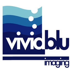 logo vividBlu Imaging